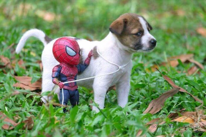 Super héroe con mascota…