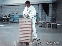 Karate Brick